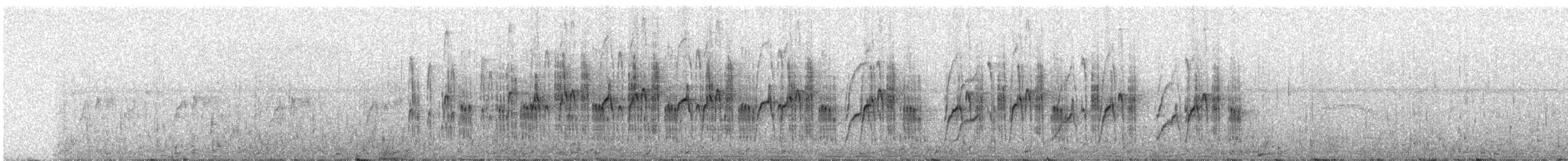 Drab Water Tyrant - ML307744401