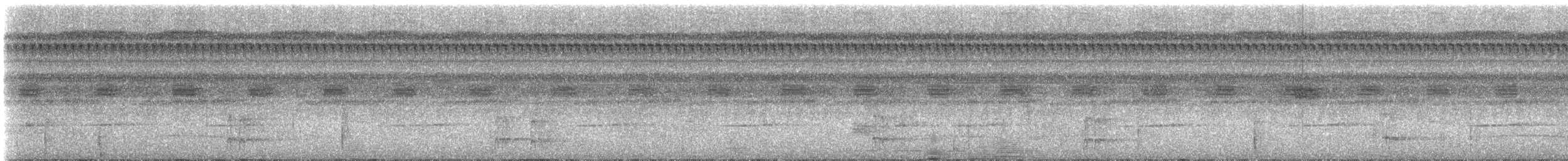 Aulia cendré - ML307749