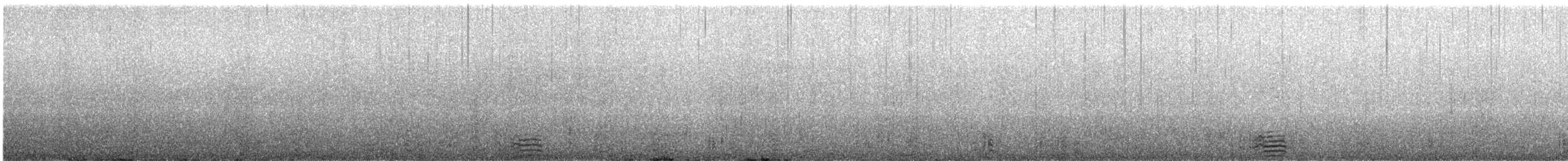 Казарка чорна (підвид nigricans) - ML307810331