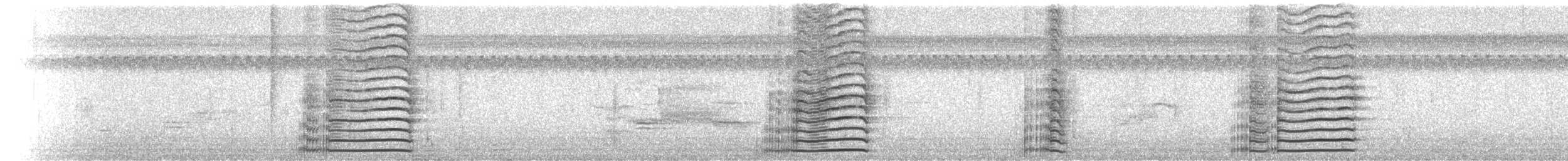 Amerikateichhuhn - ML30781491