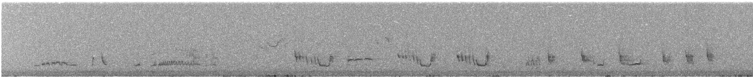 Crissal Thrasher - ML30786171