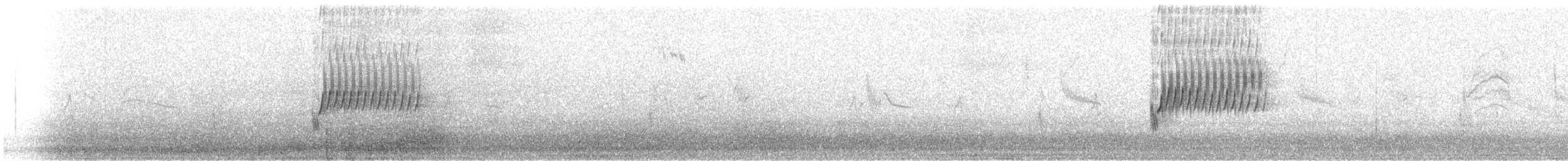 Тауї плямистий - ML307886351