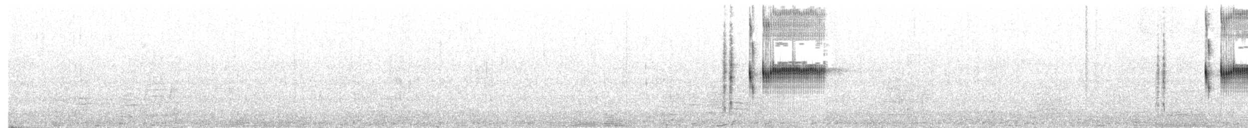 Spotted Bush Warbler - ML307901091