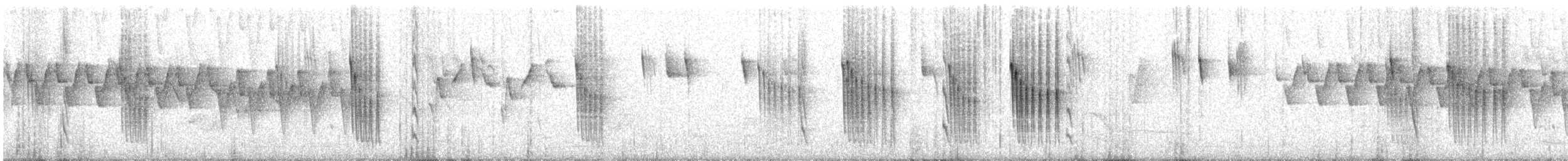 Orite à gorge blanche - ML307926811