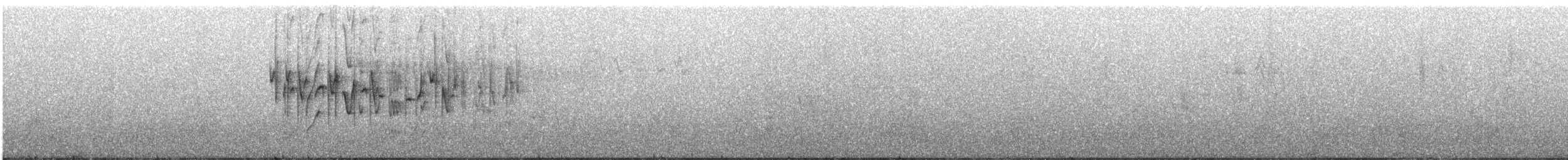 Percefleur noir - ML307979511