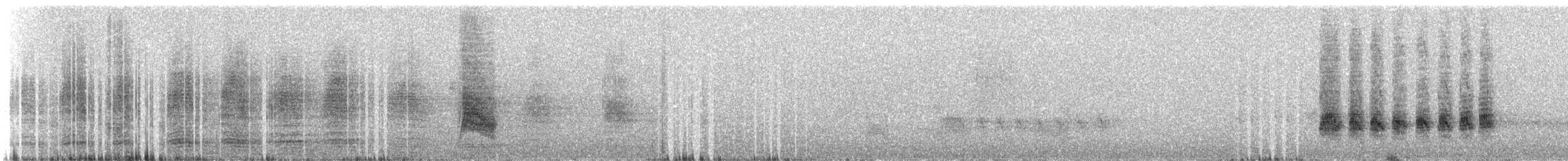 småkaktusspurv - ML308018