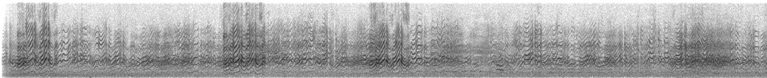 Sterna scura - ML308051