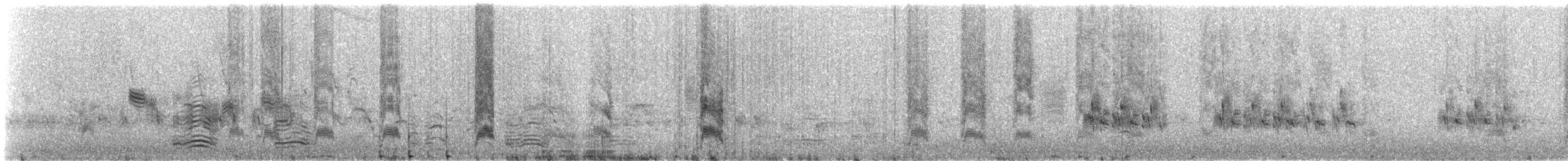 Geospiza sp. - ML308124