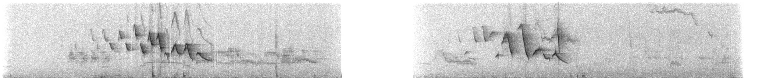 Mangrove Yellow Warbler (Galapagos) - ML308137