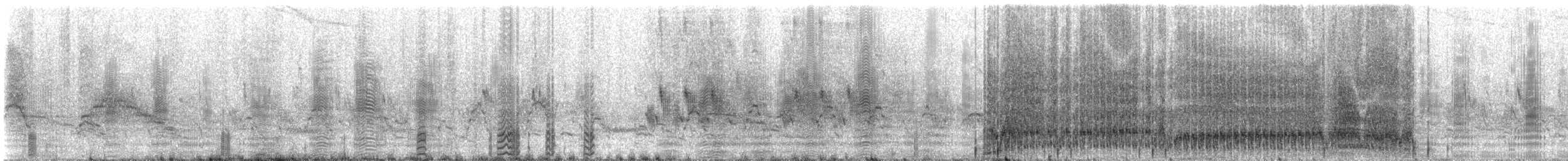 booby sp. - ML308146