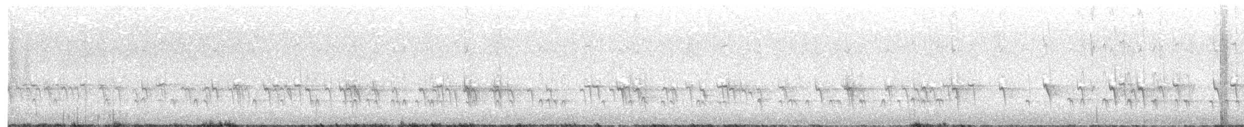 Bec-croisé des sapins (type 2) - ML308149831