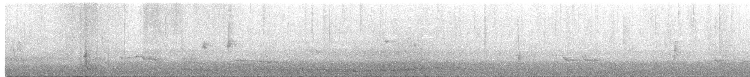 Mirlo Acuático Norteamericano - ML308236111