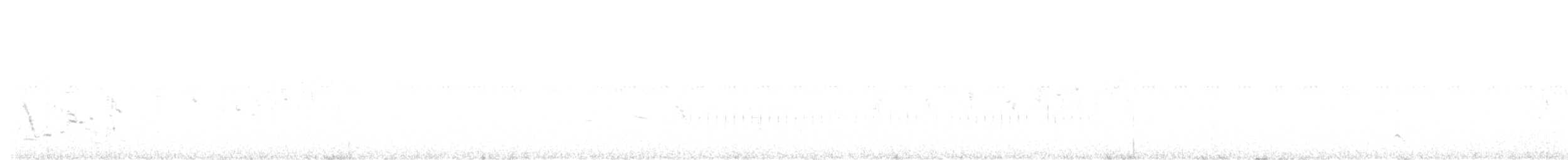 Sharp-tailed Grouse - ML308313291