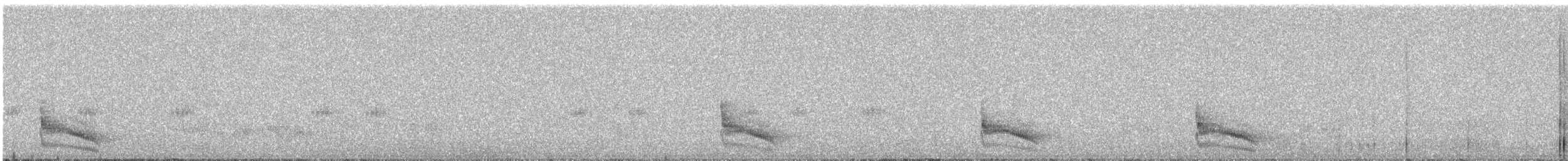 Troglodyte à moustaches ou T. coraya - ML308314