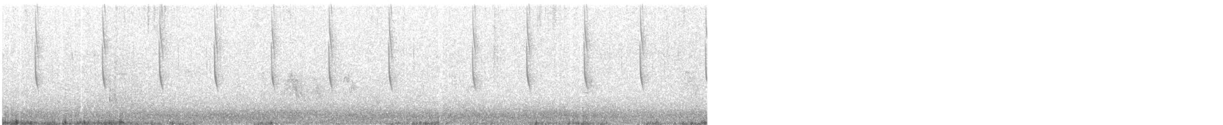 Широкохвостый колибри - ML308324251