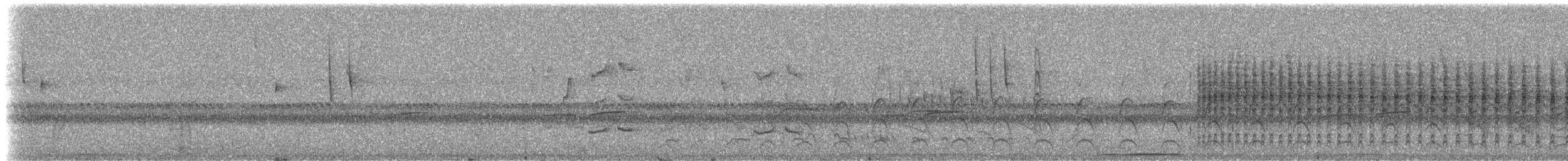 Troglodyte de Sclater (sclateri) - ML308372