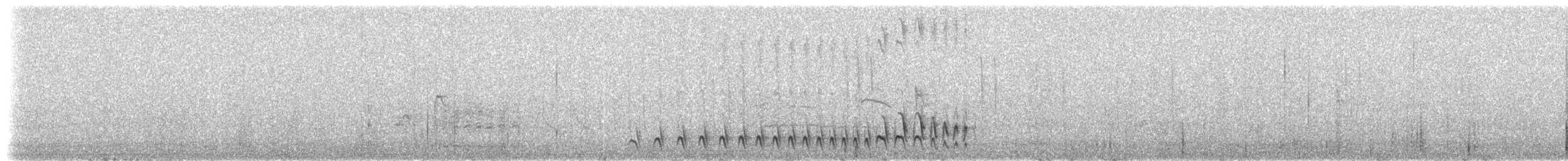 Batara de Chapman - ML308384