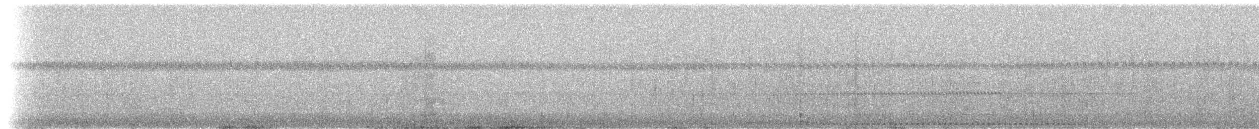 Buschkreischeule (pacificus) - ML308386