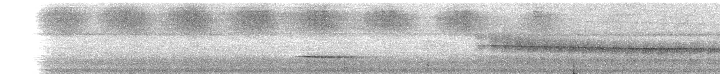 Black-tailed Tityra - ML308399521