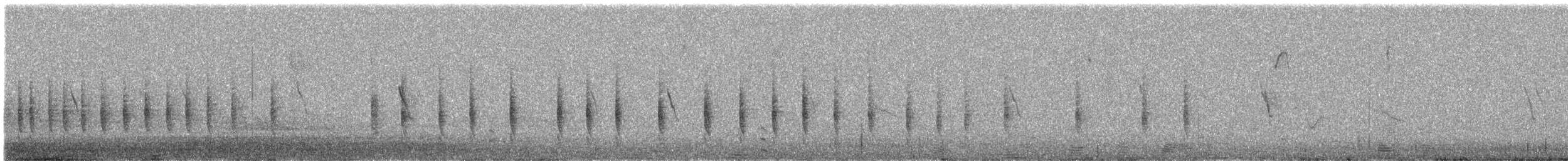 Troglodyte familier - ML308439