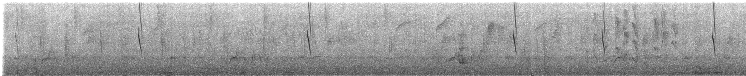 Колібрі-голкохвіст чубатий - ML308468