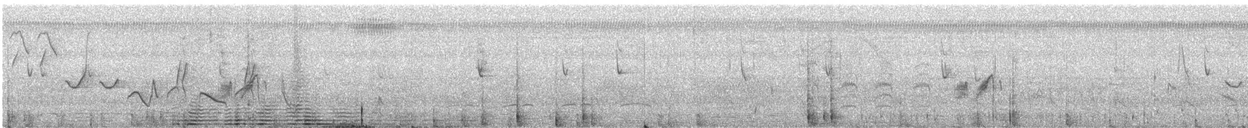 Black-billed Seed-Finch - ML308485