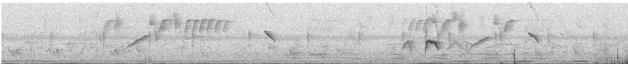 Тиранчик-короткодзьоб північний - ML308489981