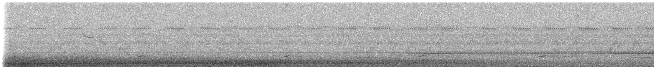 Tinamou à petit bec - ML308515