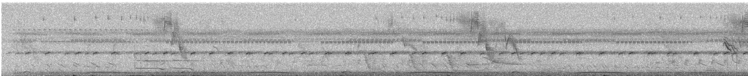 holub neotropický - ML308527