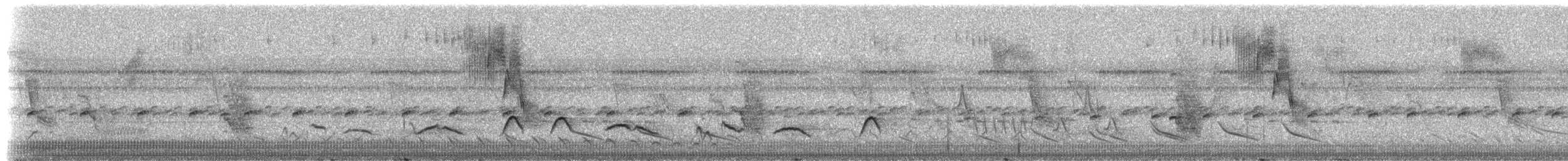 Schleiertangare - ML308528