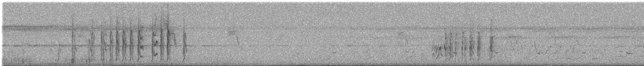 Çizgili Büyük Tiran (solitarius) - ML308531