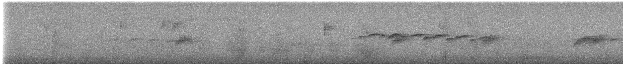 Beyaz Gerdanlı Karıncakuşu - ML308552