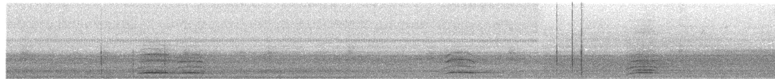 Kolkrabe - ML30856501