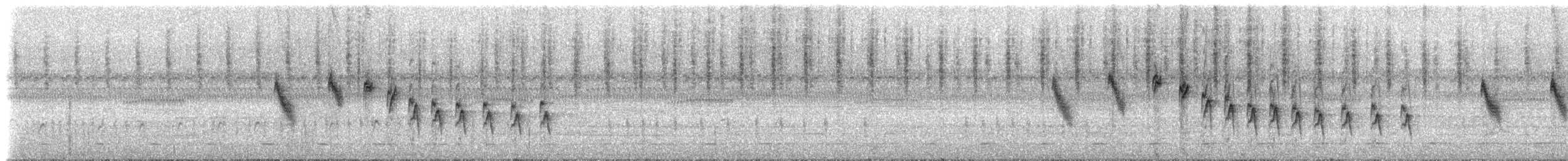 Mascarita Equinoccial (velata) - ML308567