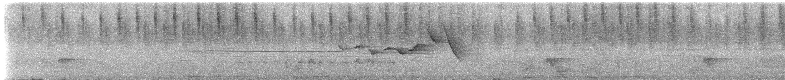 Atlantik Karınca Tiranı - ML308570