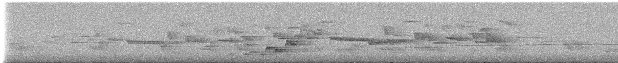 קיכלי זיתני - ML308585