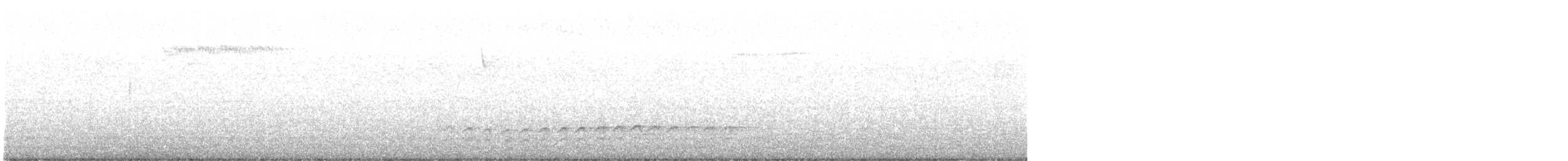 White-breasted Nuthatch - ML308587591