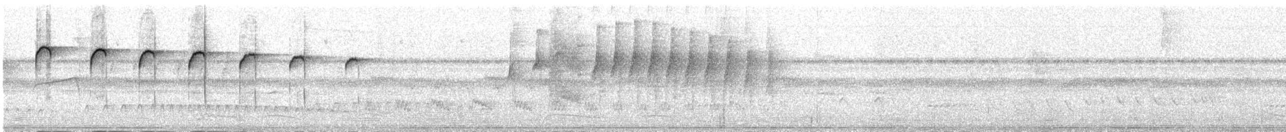 Golden-spangled Piculet (Bahia) - ML308607181