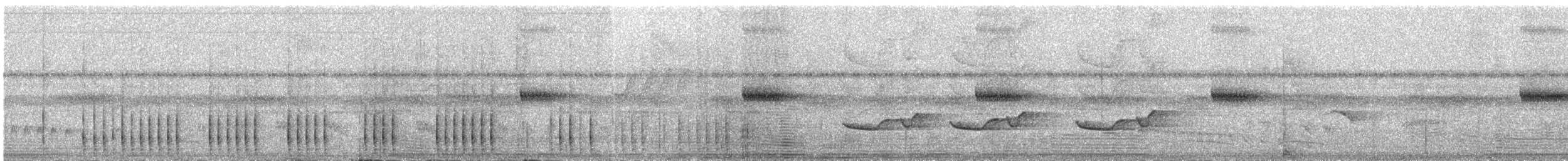 Golden-spangled Piculet (Bahia) - ML308608731