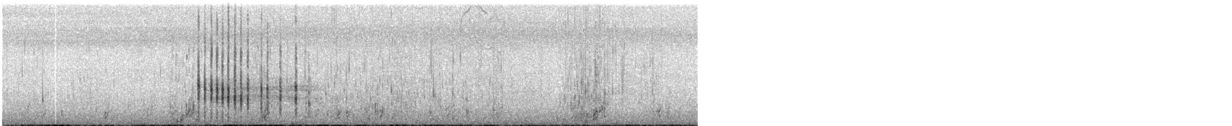 黑玄燕鷗 - ML30863741