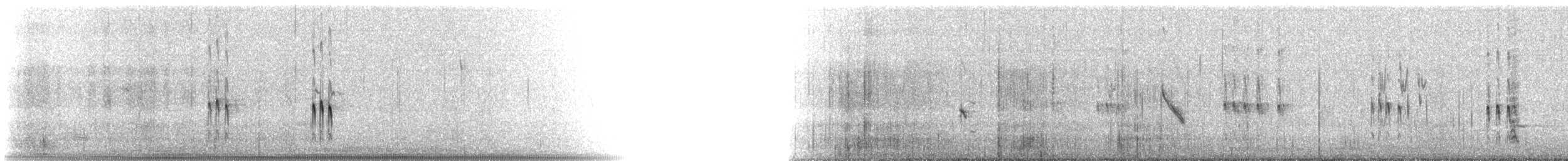 Plectrophane lapon - ML308642351