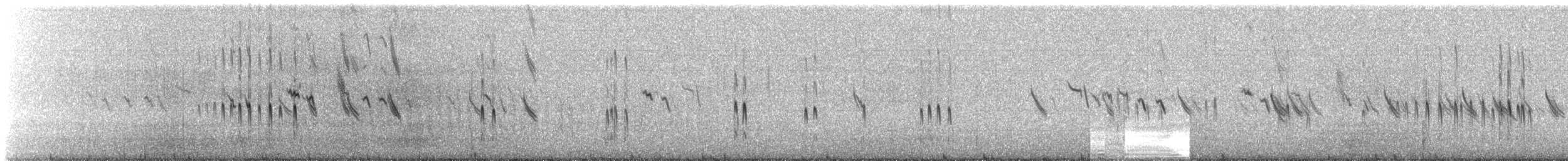 Plectrophane lapon - ML308642371