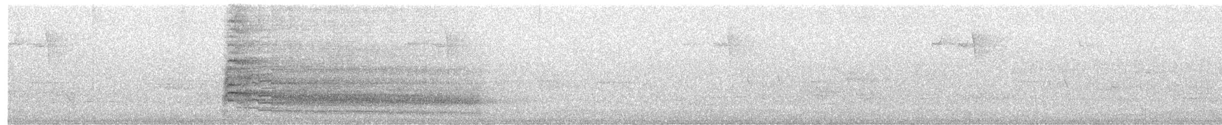 Краснохвостый канюк (borealis) - ML30872291
