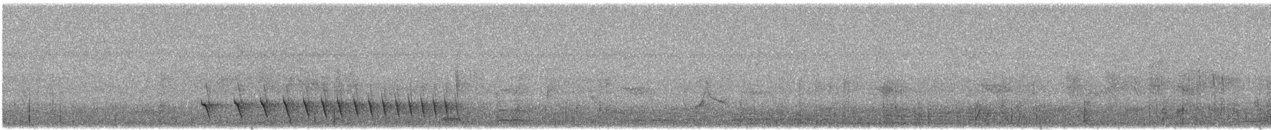Spot-tailed Antwren - ML308735781