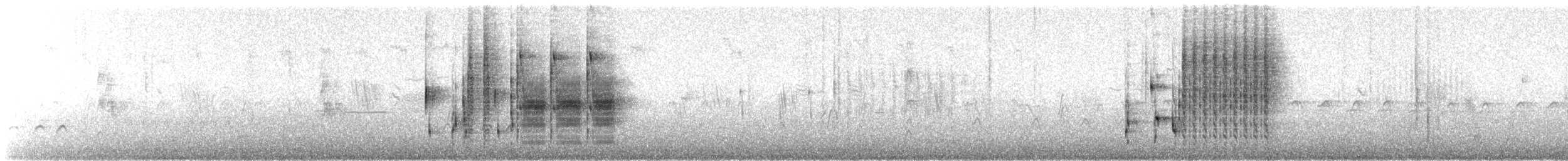 Marsh Wren (paludicola Group) - ML30877211
