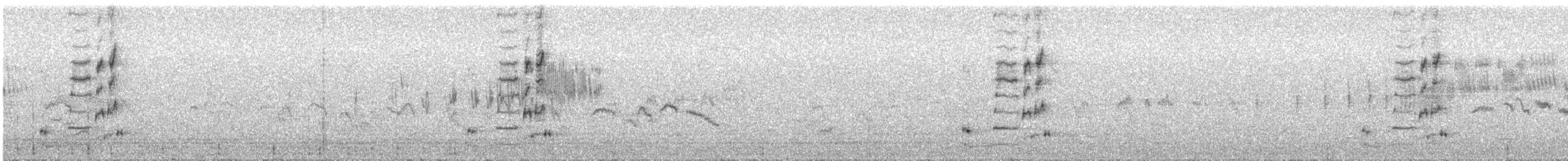 Iberian Gray Shrike - ML308789681