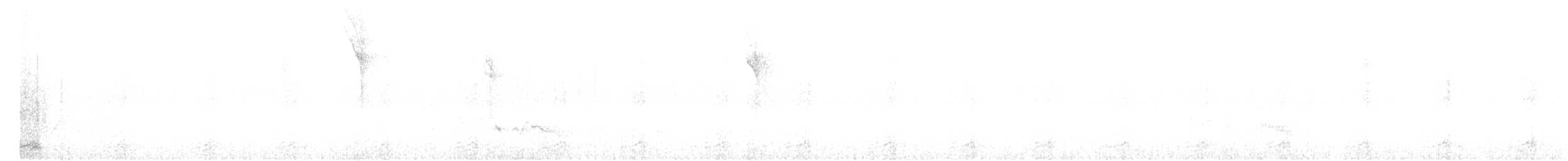 Toucanet à bec sillonné (calorhynchus) - ML308812461