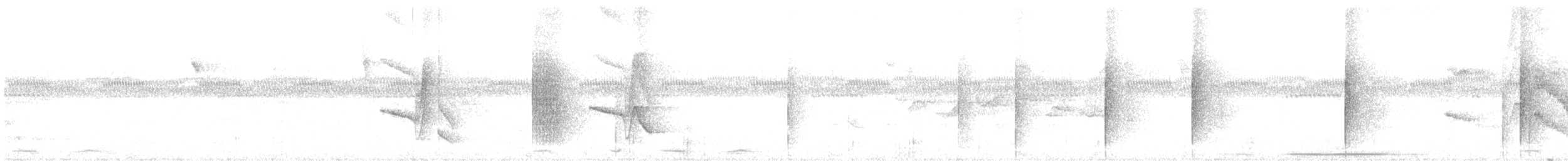 White-collared Manakin - ML308954811
