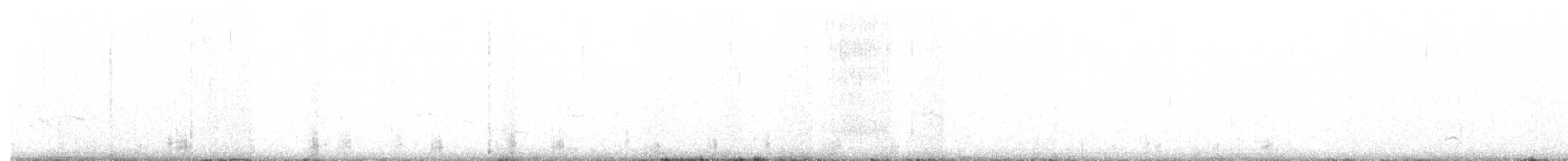 Branta musubeltza (nigricans) - ML308976831
