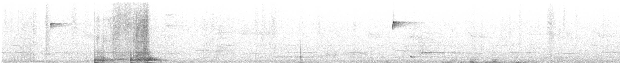 Weißfleckenkotinga - ML309074461